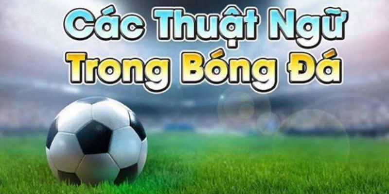 Các Thuật Ngữ Cá Cược Bóng Đá Đang Phổ Biến Cần Được Nắm Rõ